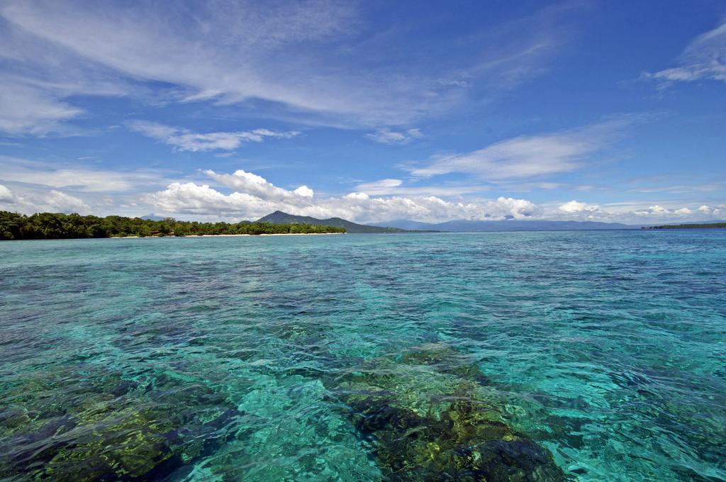 Bunaken Divers Sea Breeze Resort Buitenkant foto